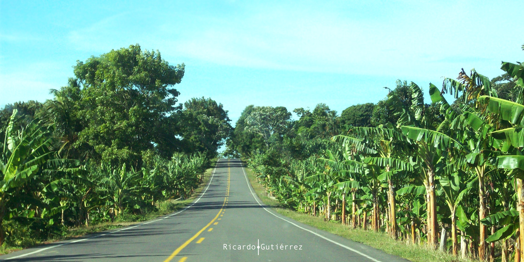 Urabá