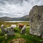 Uragh Stone Circle