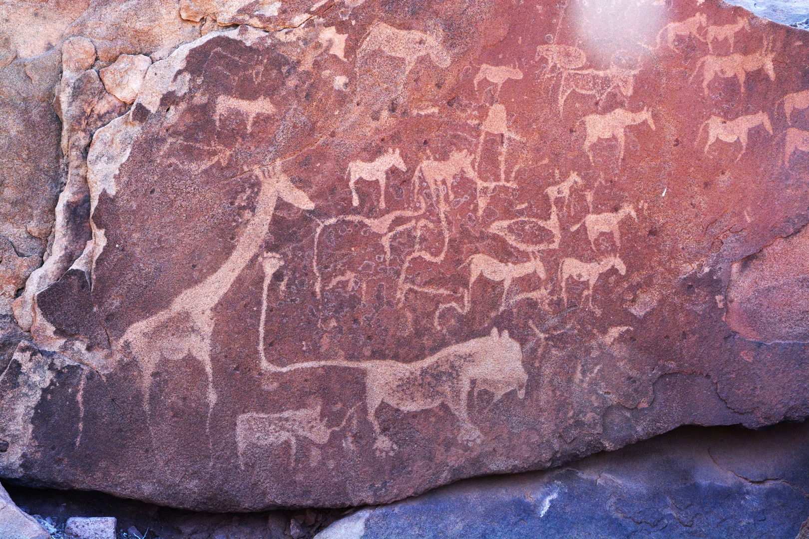 Uralte Felsritzungen in Namibia