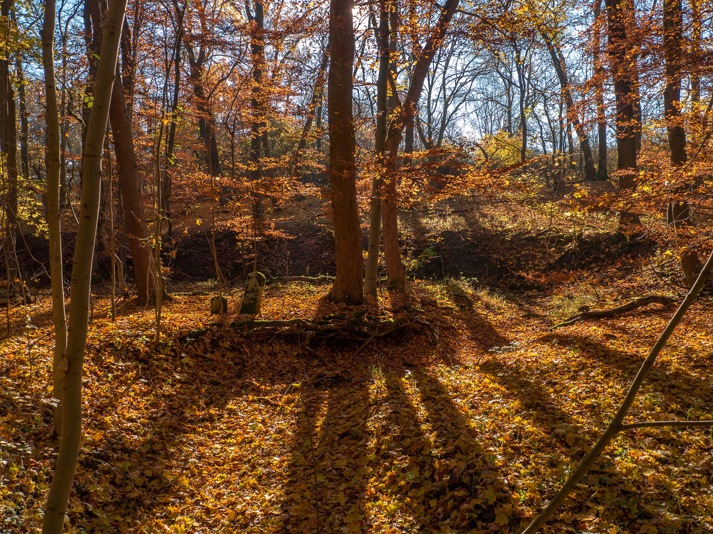 Uralte Grenzsteine im Farbrausch