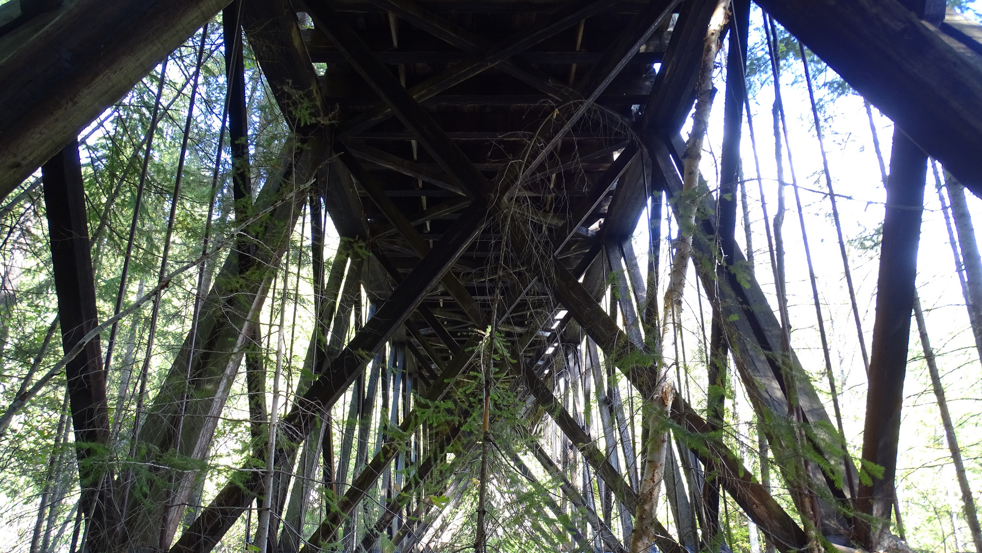 Uralte Holzbrücke in die Rockies