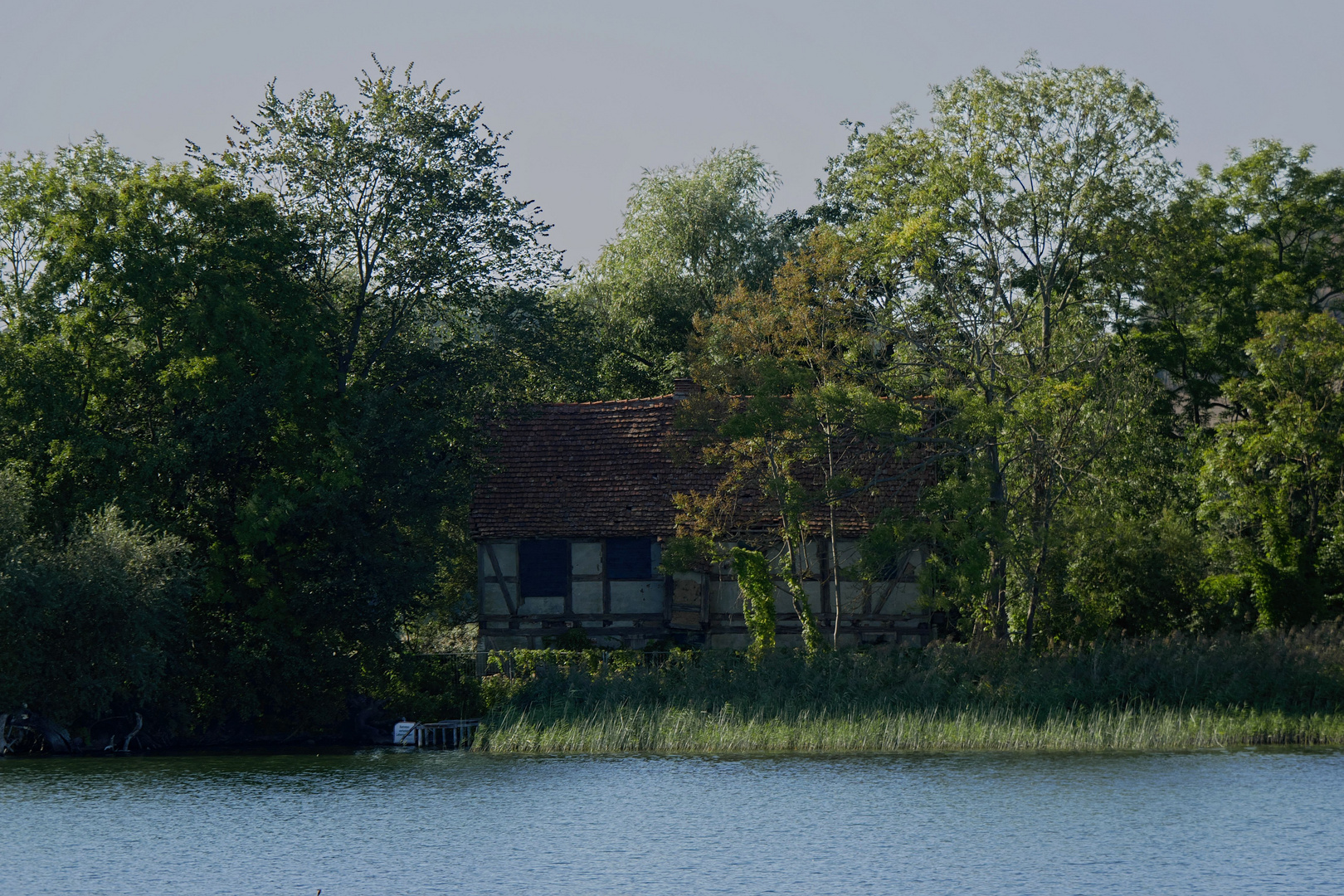Uraltes verwunschenes Haus Foto & Bild natur, mecklenburgvorpommern