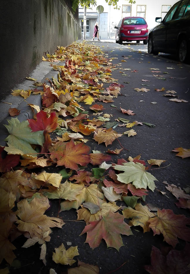 urban autumn