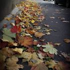 urban autumn