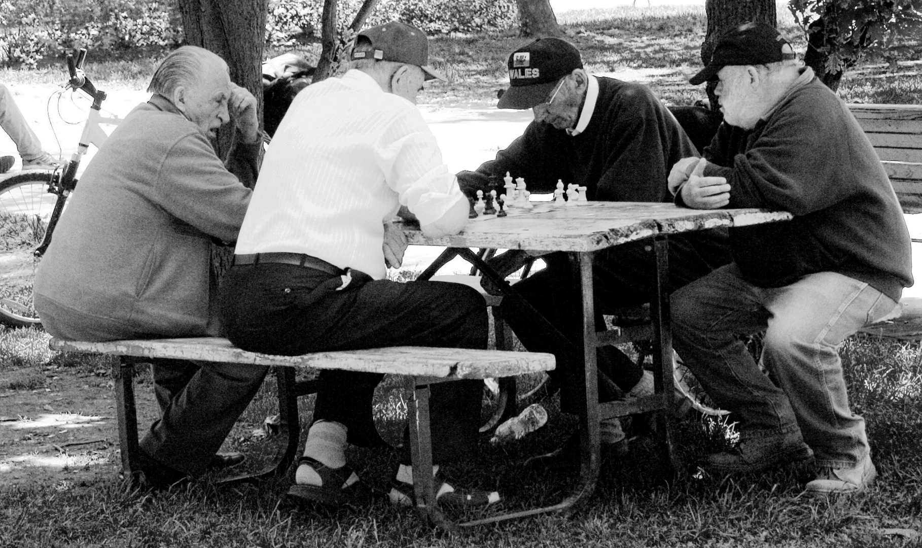 urban chess - the oldtimers