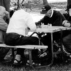 urban chess - the oldtimers