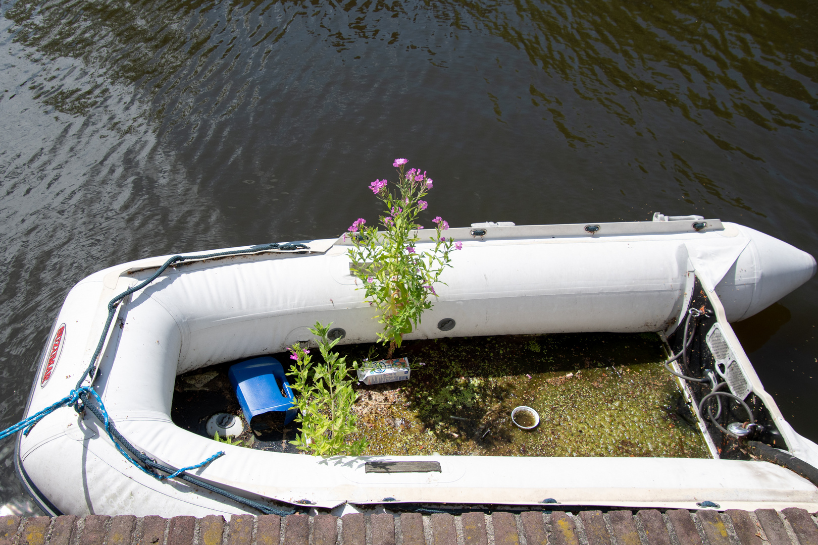 urban farming