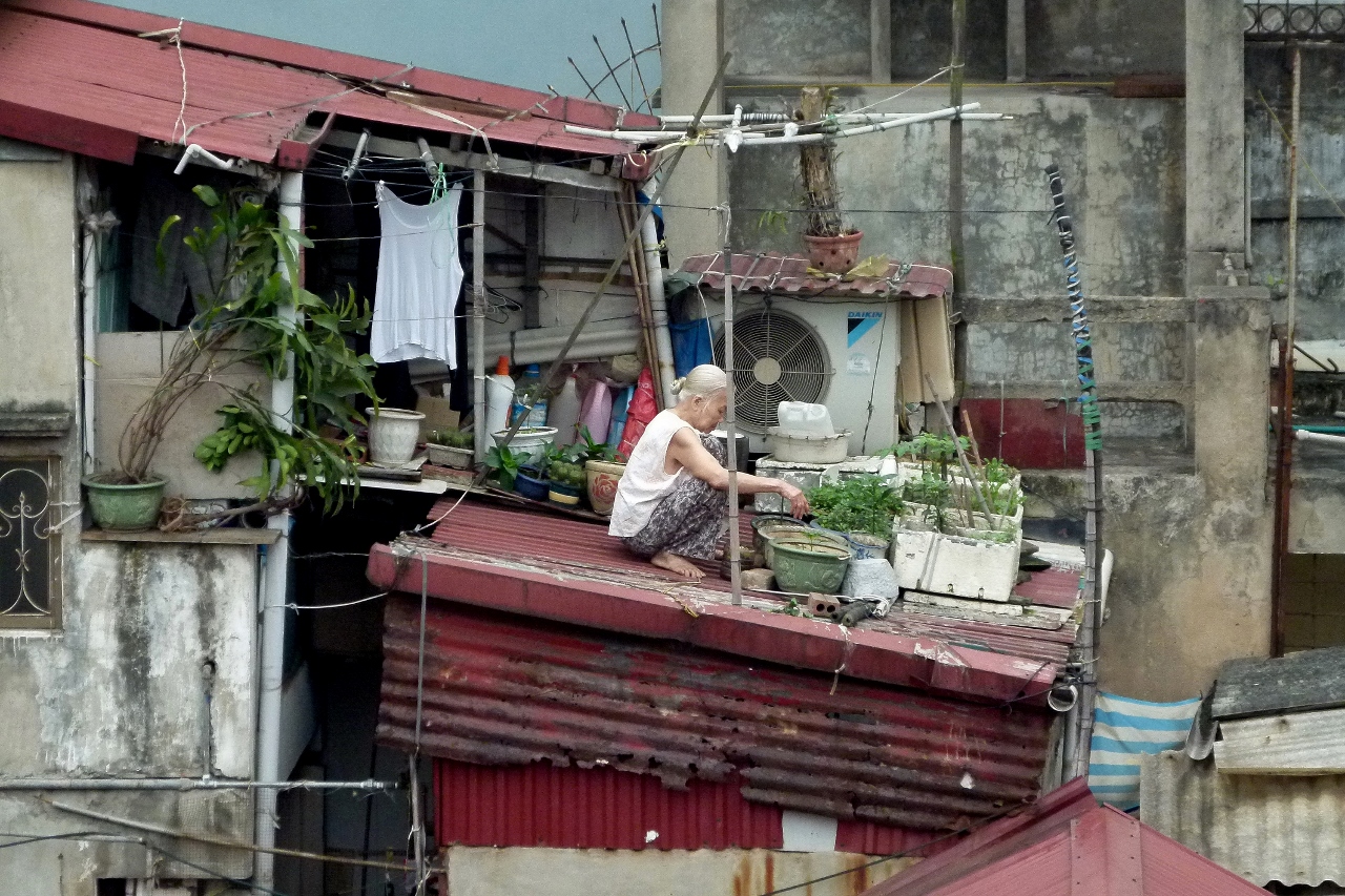 Urban Gardening