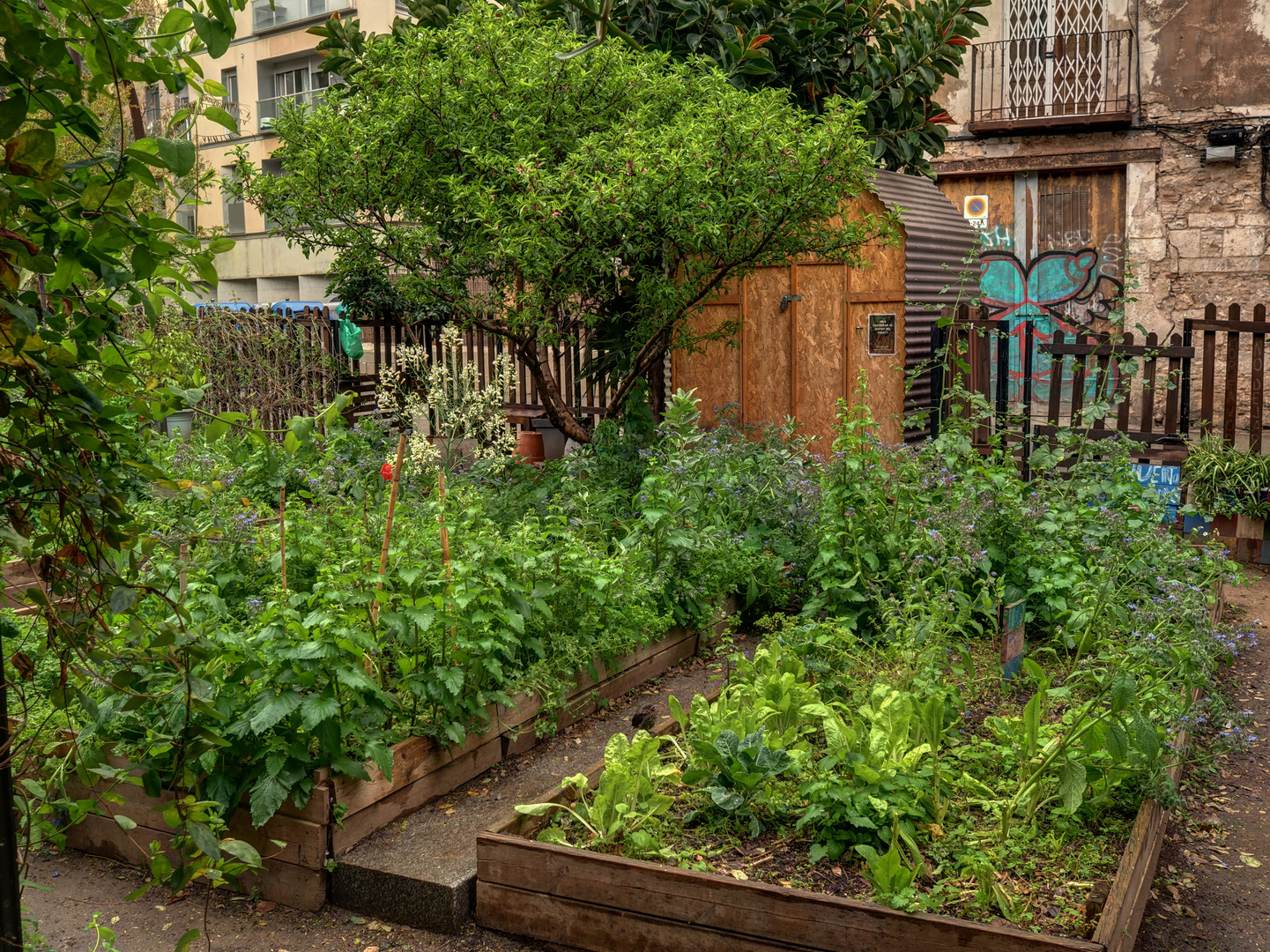 Urban Gardening