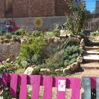 Urban gardening - BCN