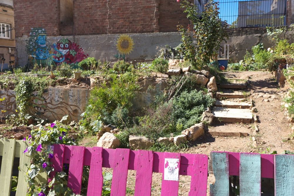 Urban gardening - BCN