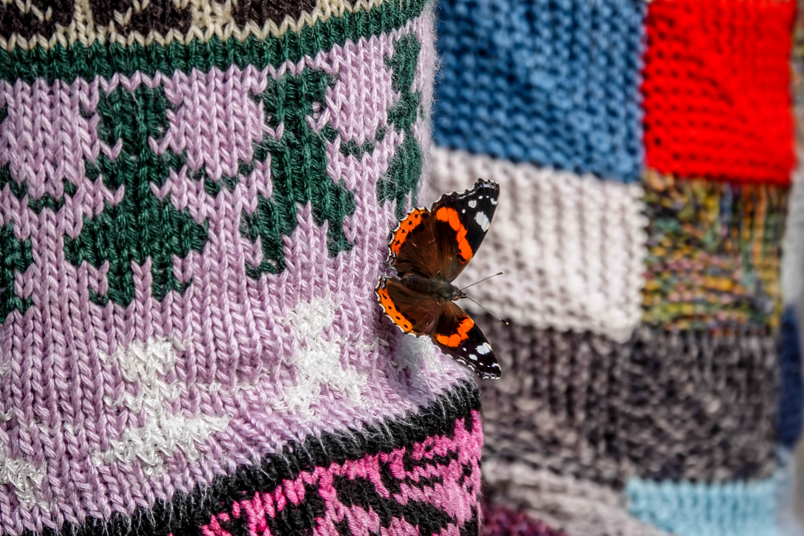 urban knitting ...