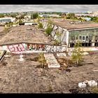 Urban Nature - die Natur kehrt immer zurück