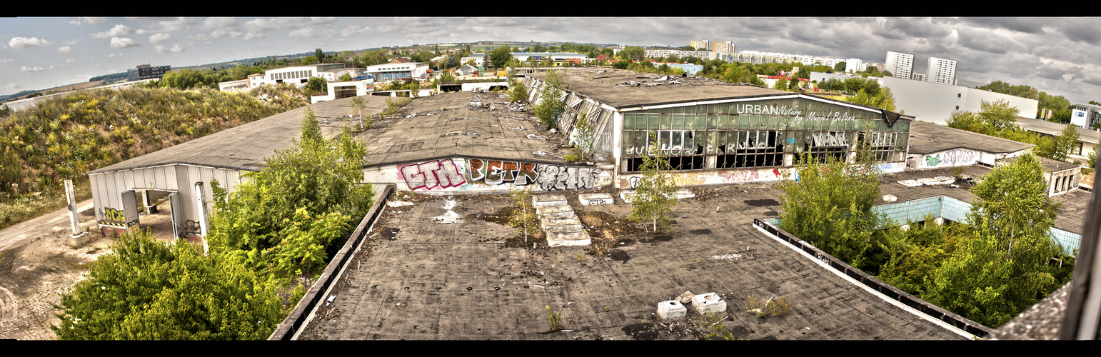 Urban Nature - die Natur kehrt immer zurück