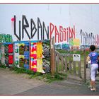 Urban Passion