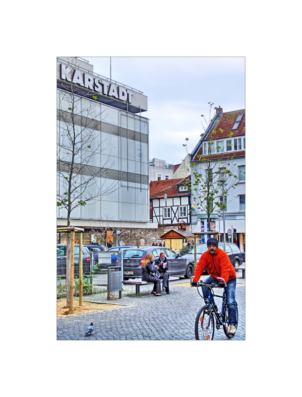 - urban resting place with dove -