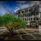 Urban scene in Funchal