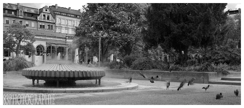 Urbane Landschaft - Startende Tauben am Kochbrunnen