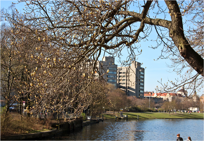 Urbanhafen