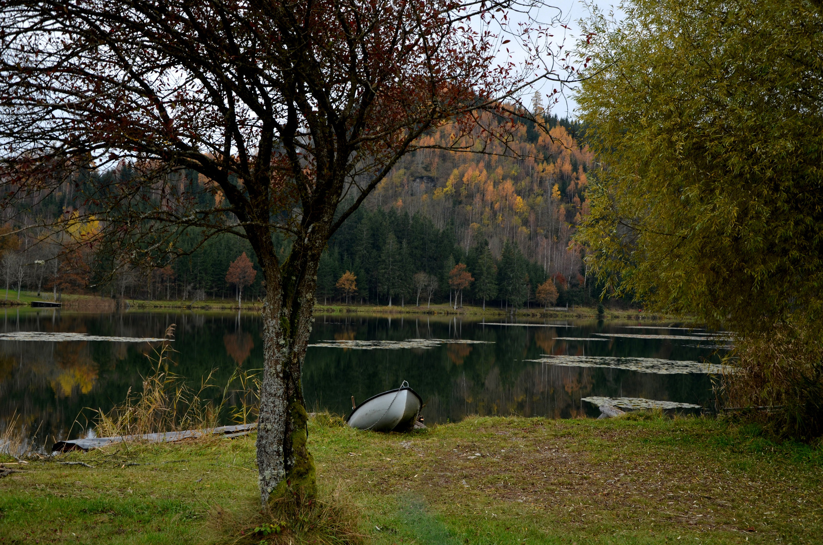 Urbansee(Kärnten) im Herbst