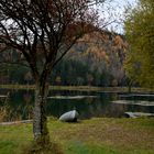 Urbansee(Kärnten) im Herbst