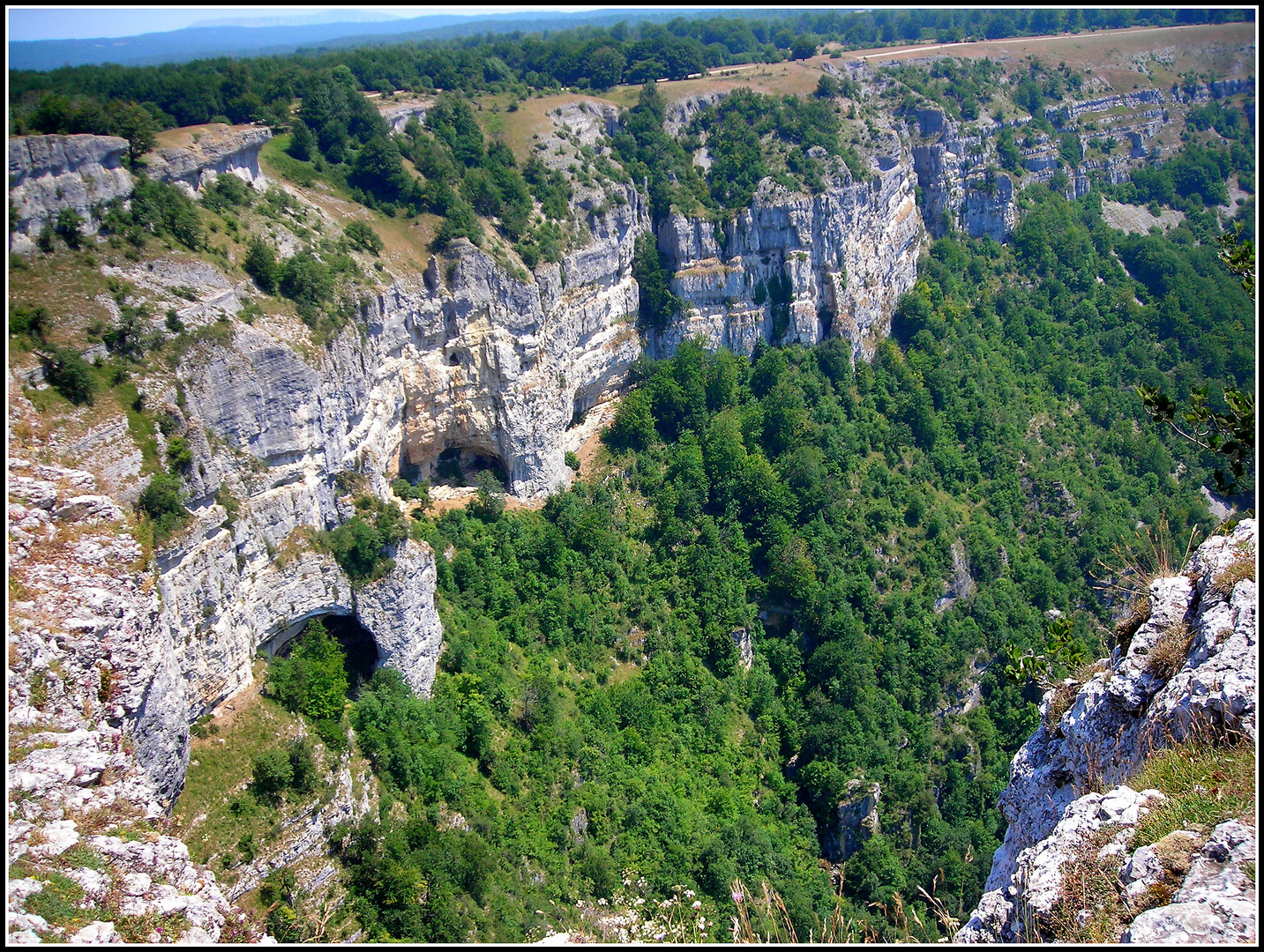 urbasako serra