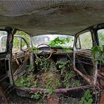 Urbex Bastnäs - Der Oldtimer Autofriedhof