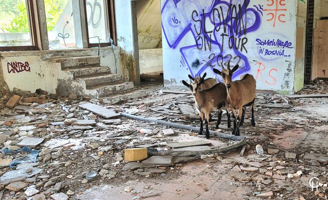 Urbex Hotel Bosnien - Die drei Empfangsdamen
