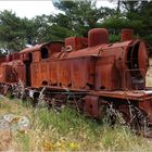 Urbex Sardinien - Trenino Verde - Lokomotiven Trexenta, Arborea und Planargia