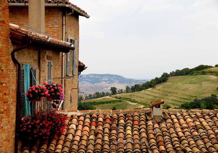 Urbino (1)