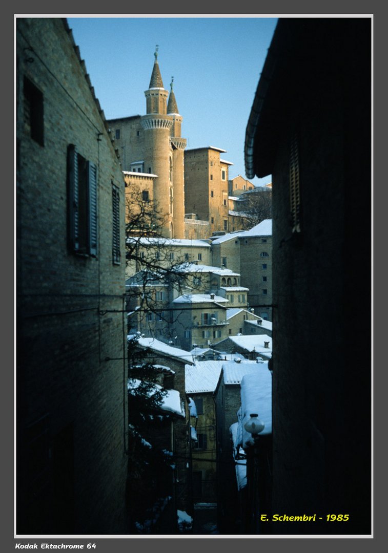 Urbino 1985