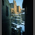 Urbino 1985