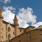 urbino 2