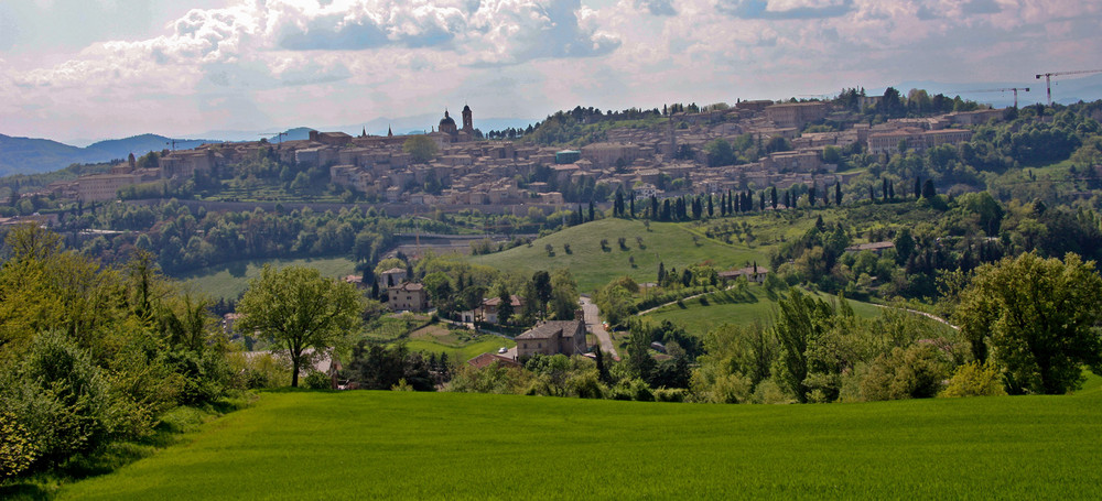 Urbino