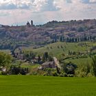 Urbino