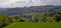 Urbino