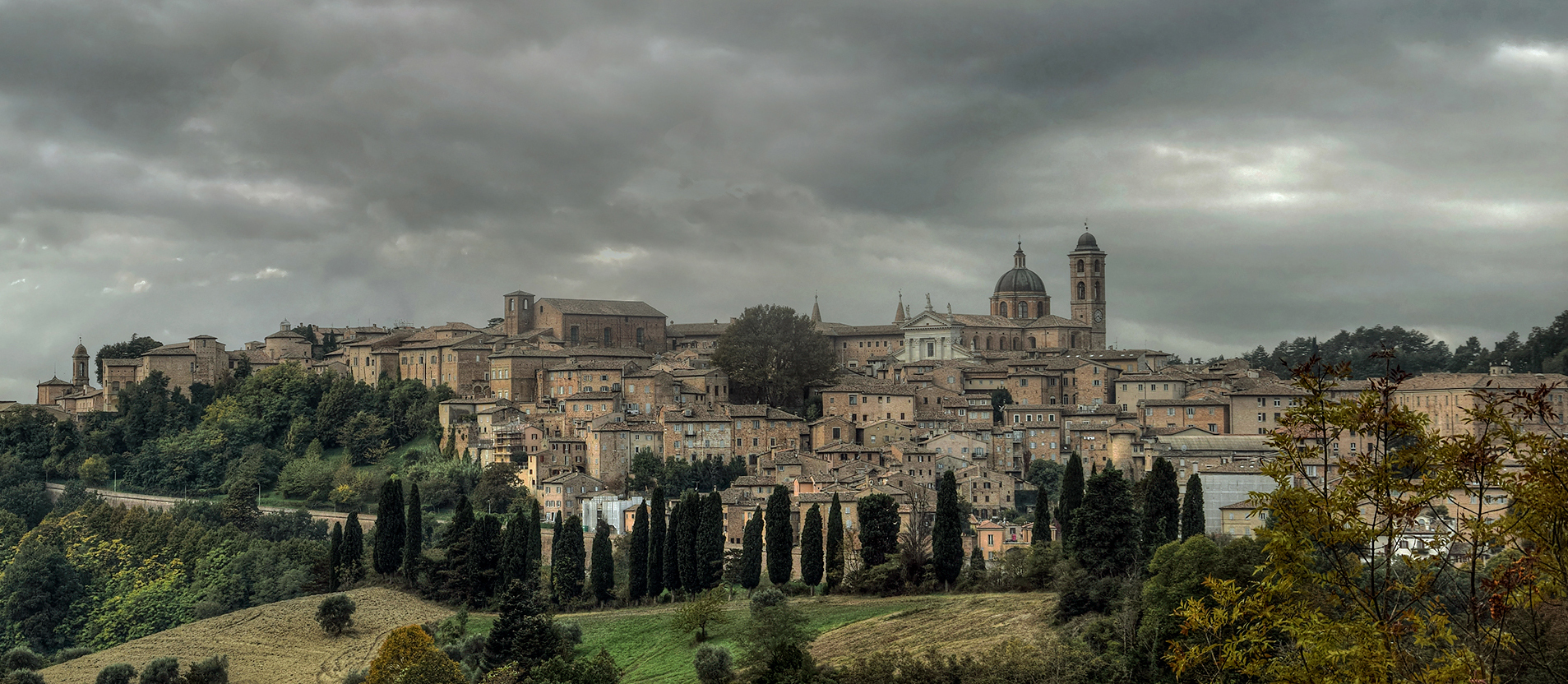 urbino