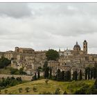 Urbino