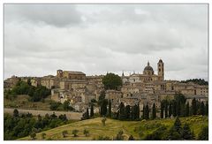 Urbino