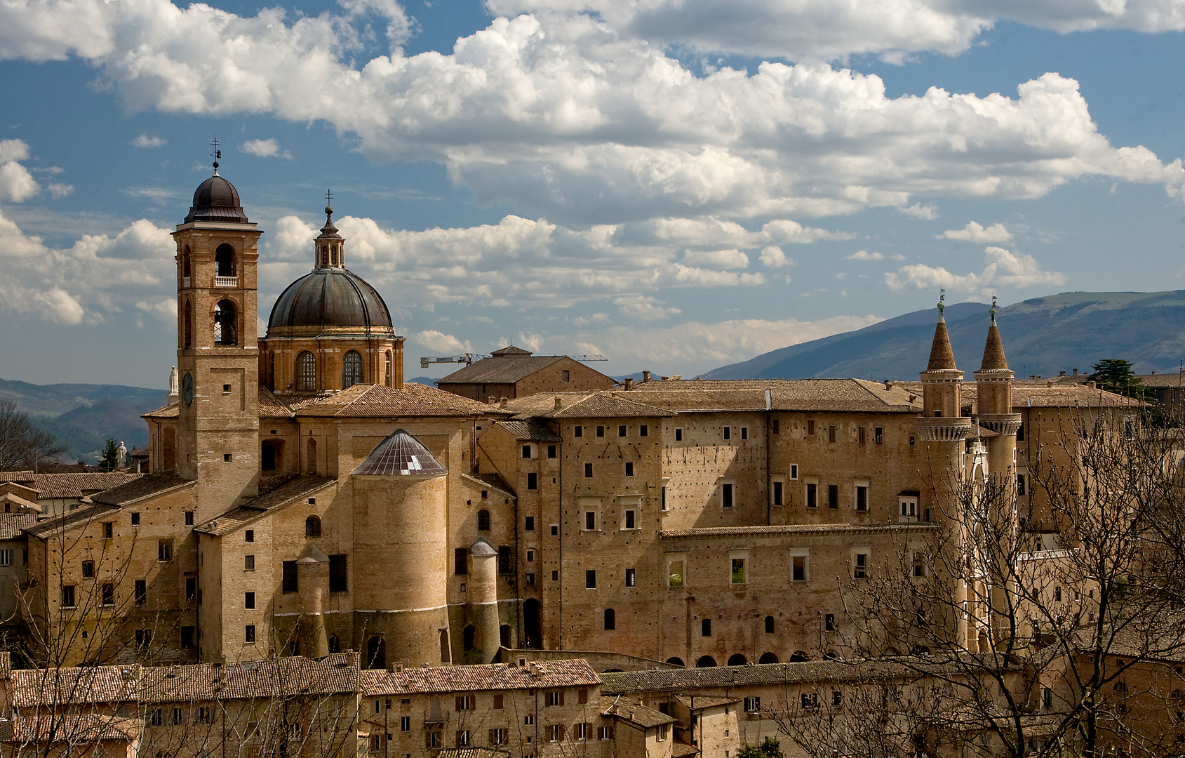 urbino