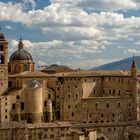 urbino