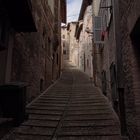 Urbino