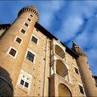 Urbino