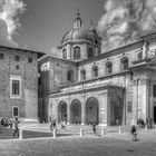 Urbino