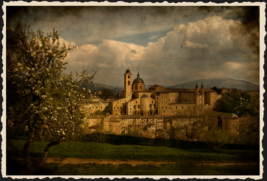 *** Urbino ***