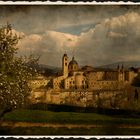 *** Urbino ***