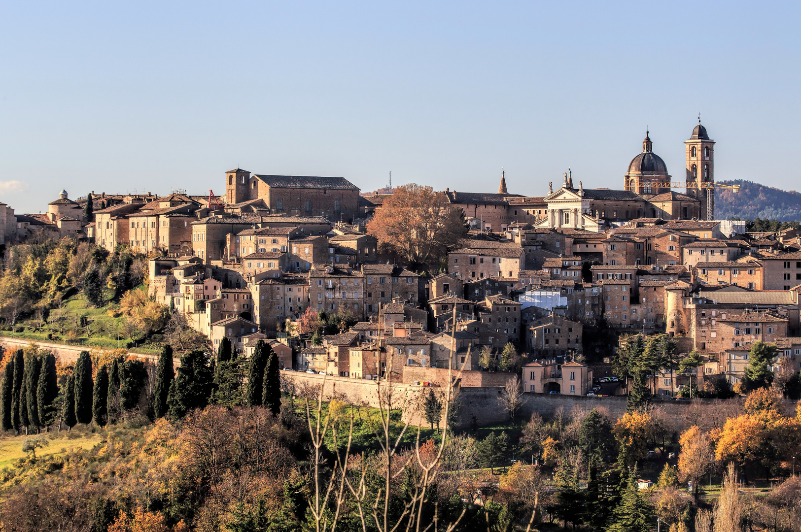 Urbino