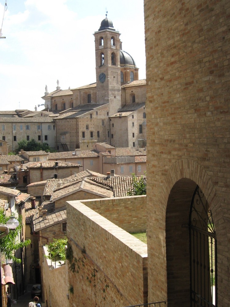 Urbino