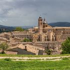 Urbino
