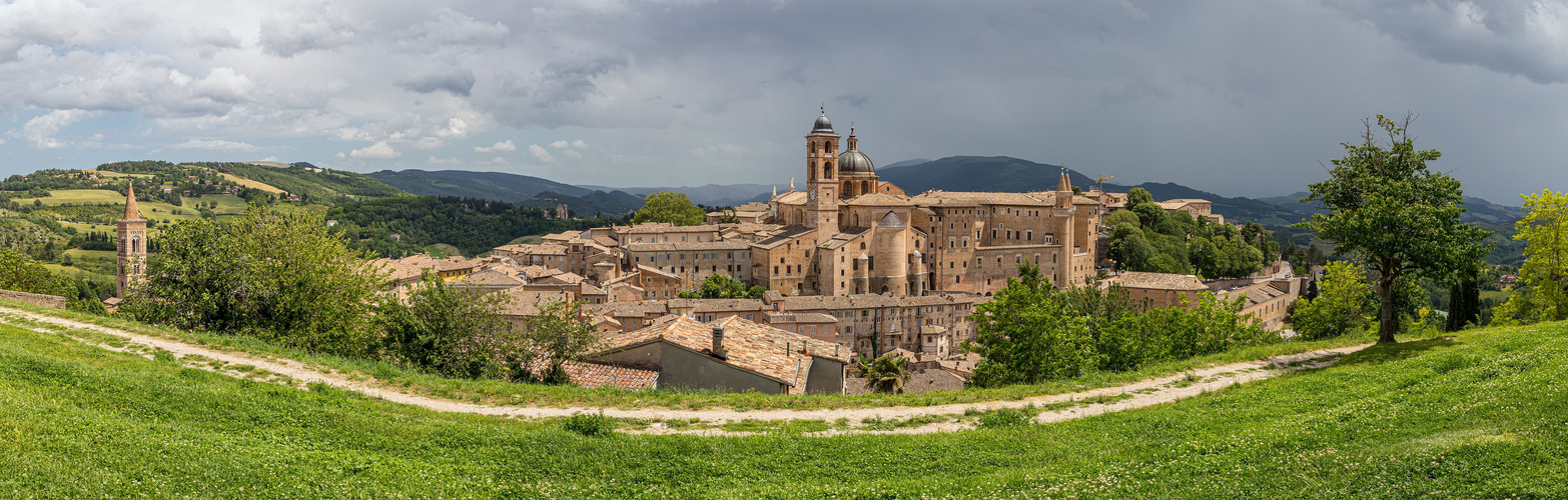 Urbino